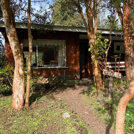 Cabanas El Bosque Patagonico 弗鲁蒂亚尔 外观 照片