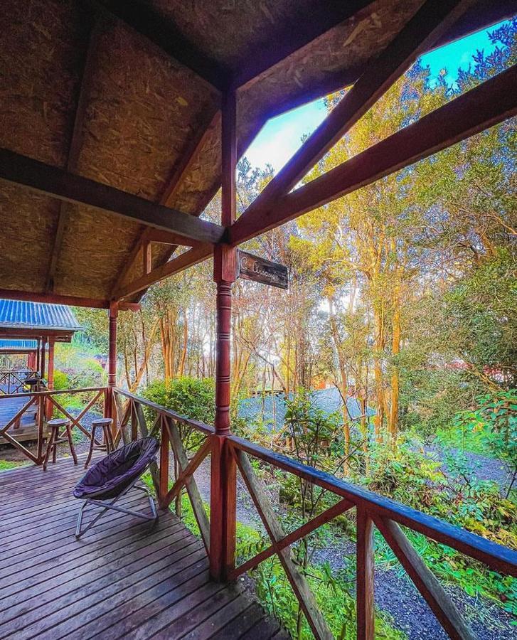Cabanas El Bosque Patagonico 弗鲁蒂亚尔 外观 照片