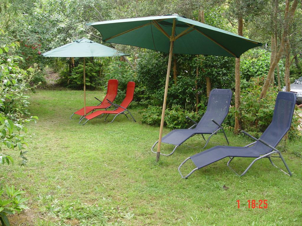 Cabanas El Bosque Patagonico 弗鲁蒂亚尔 客房 照片
