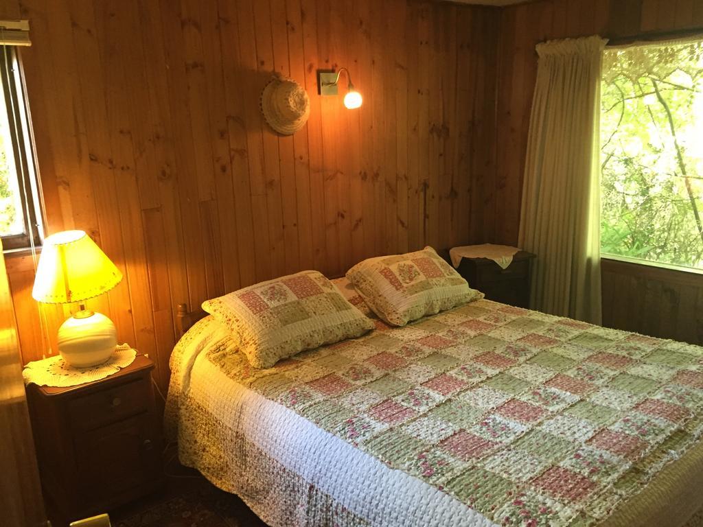 Cabanas El Bosque Patagonico 弗鲁蒂亚尔 外观 照片