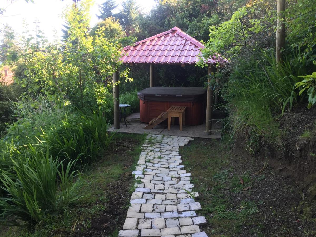 Cabanas El Bosque Patagonico 弗鲁蒂亚尔 外观 照片