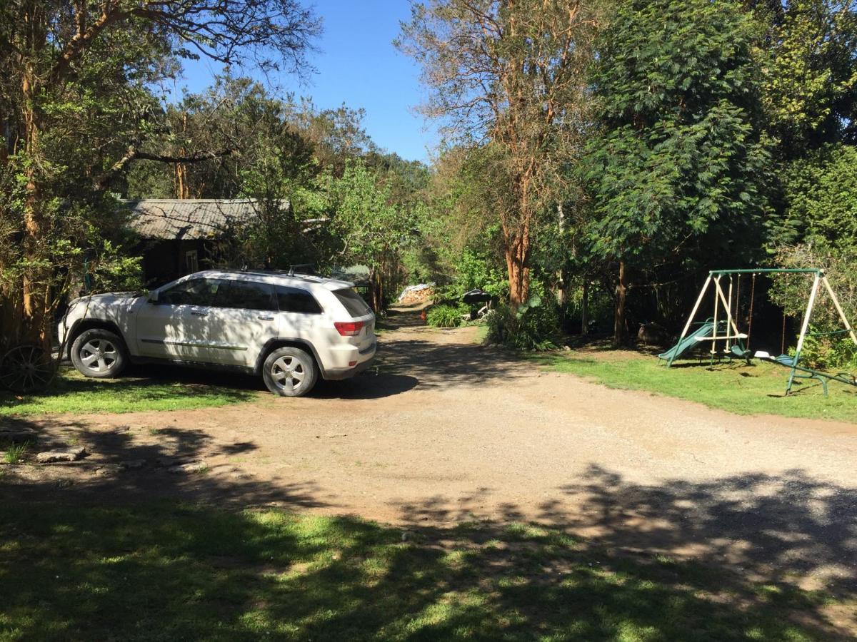 Cabanas El Bosque Patagonico 弗鲁蒂亚尔 外观 照片