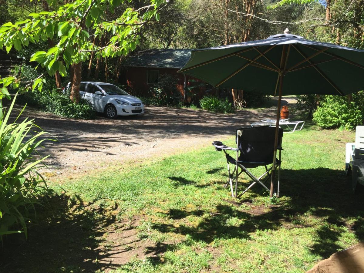 Cabanas El Bosque Patagonico 弗鲁蒂亚尔 外观 照片